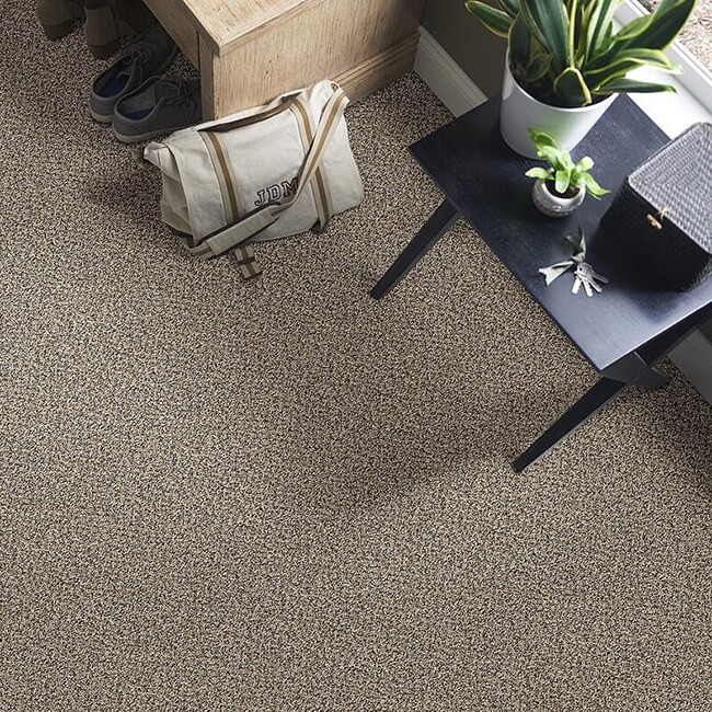 Carpet Flooring | Chacon Flooring