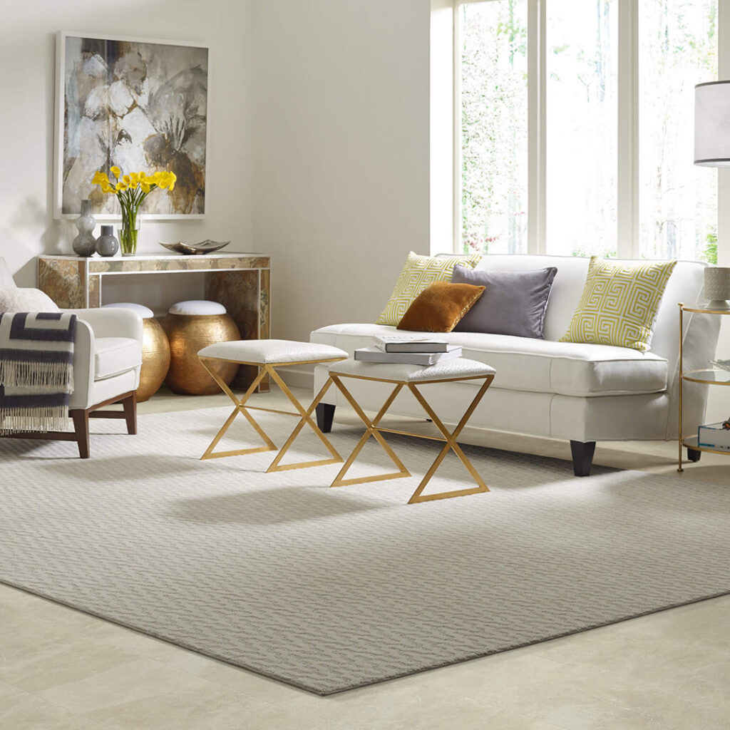 Living Room Area Rug | Chacon Flooring