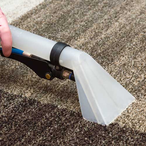 Carpet Cleaning | Chacon Flooring