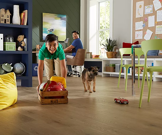 Safeguarding Floors from Pets | Chacon Flooring