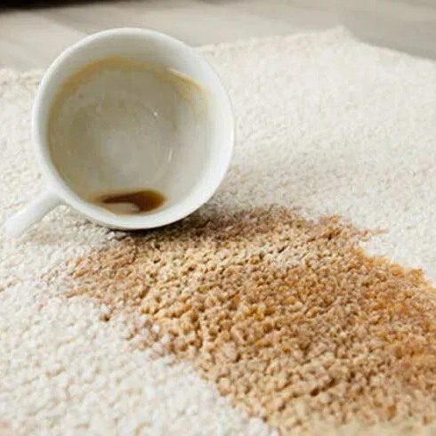 Area rug care | Chacon Flooring