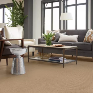 Living room carpet | Chacon Flooring