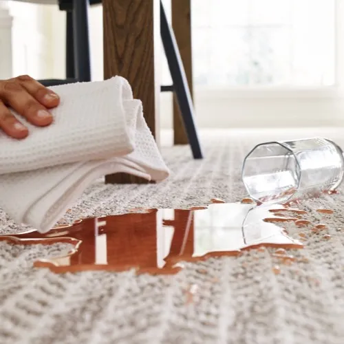 Carpet care | Chacon Flooring