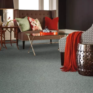 Soft carpet | Chacon Flooring