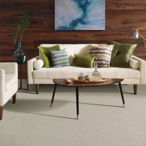 carpetblock Living room carpet | Chacon Flooring
